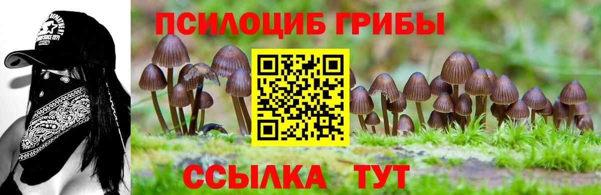 Галлюциногенные грибы мухоморы Костомукша